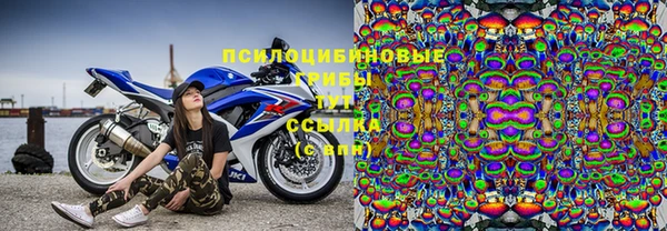 PSILOCYBIN Лиски