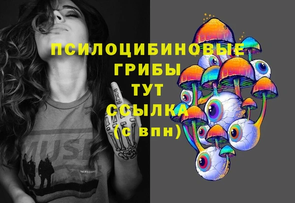 PSILOCYBIN Лиски