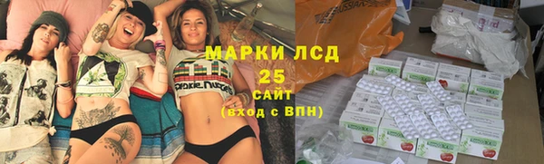 PSILOCYBIN Лиски